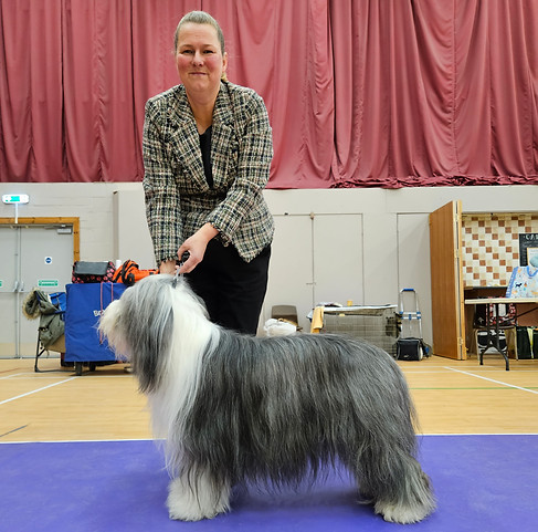 sheepdog show october 2023.2.jpg