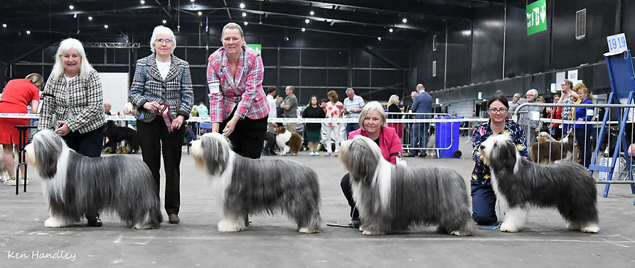 SKC 2024 (may,october).jpg