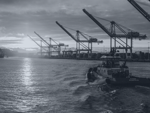 FCL, LCL and other commonly used terms