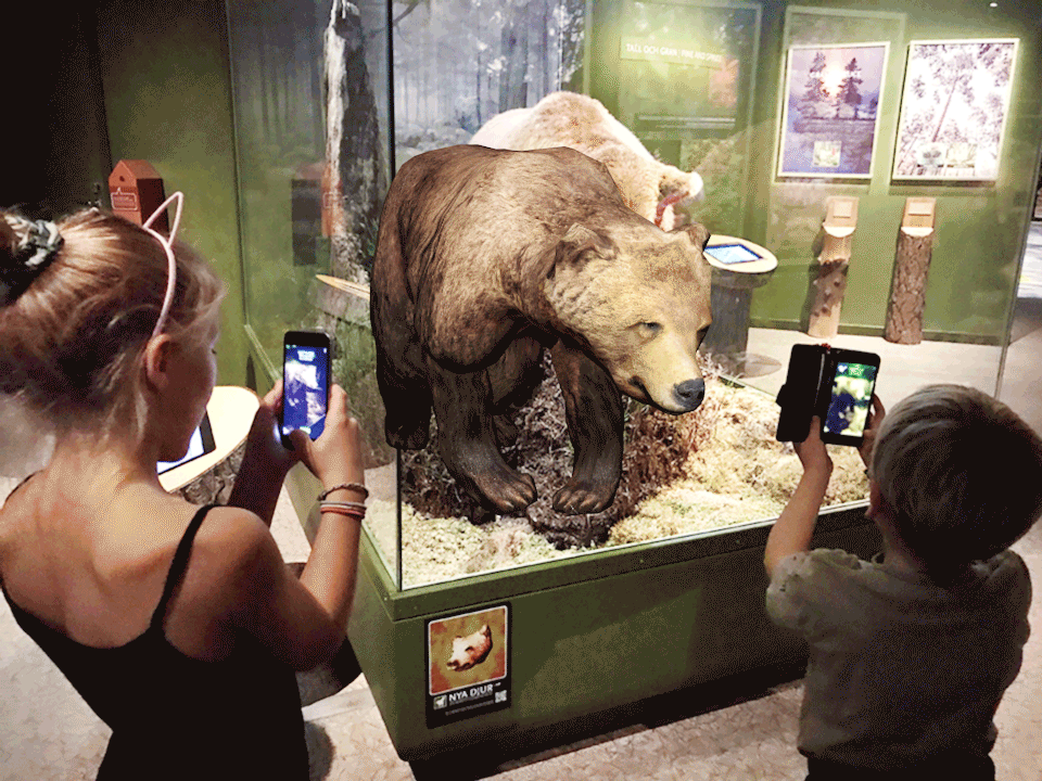 Bear.gif