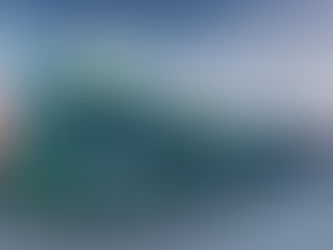 2016 - "Wir bringen das Holz vom Wald zur Säge"