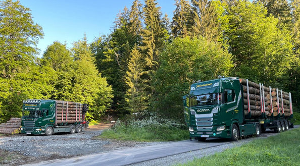 Pölzleitner Transport & Logistik, 5202 NeumarktWallersee – Holztransporte