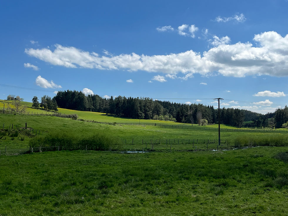vue depuis maison