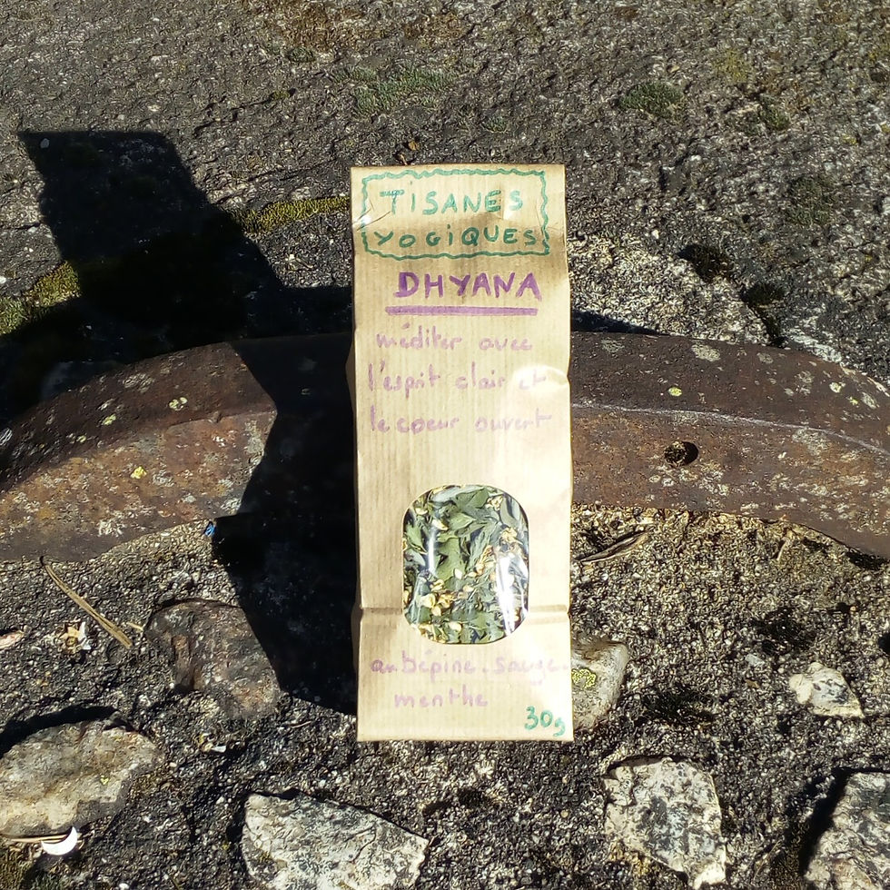 Tisane Yogique DHYANA
