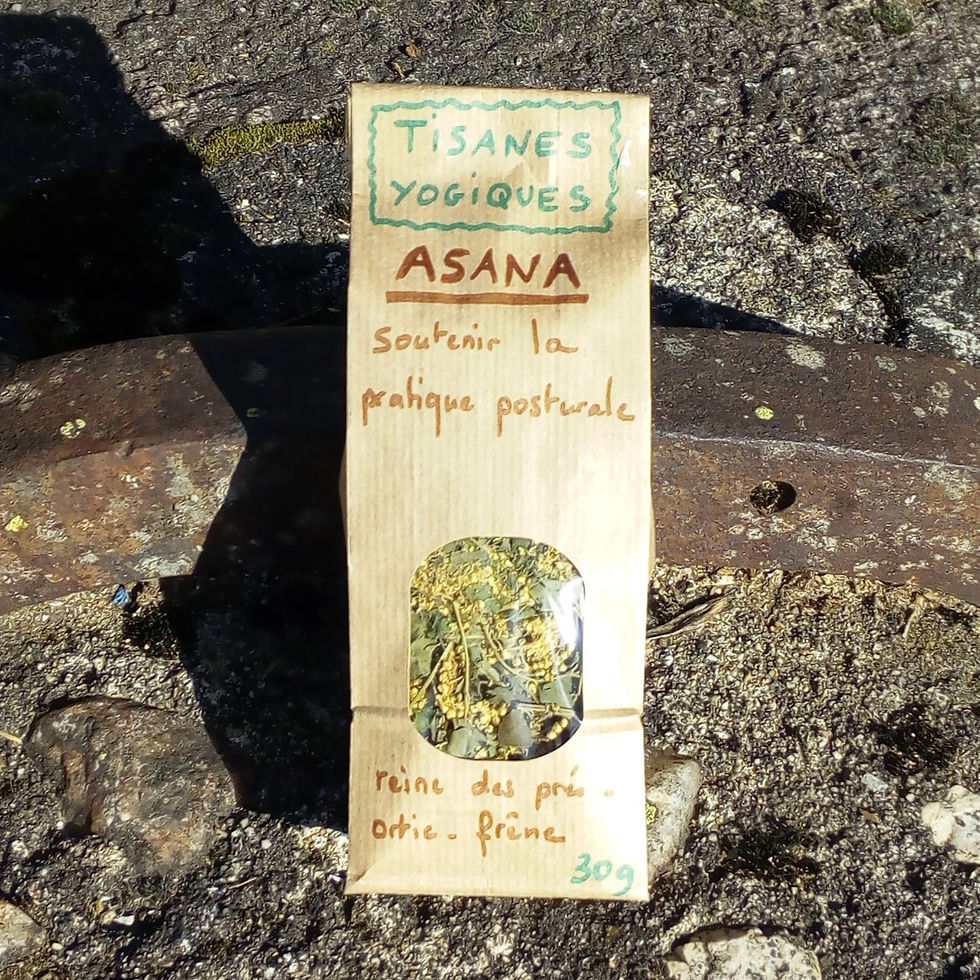 Tisane Yogique ASANA