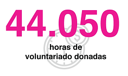 Reporte anual 2019-26.png