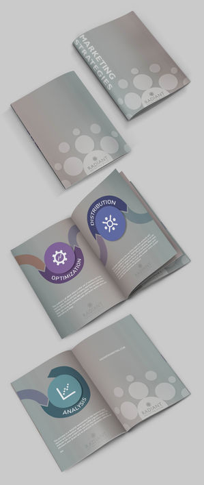 Booklet Mockup 2.jpg