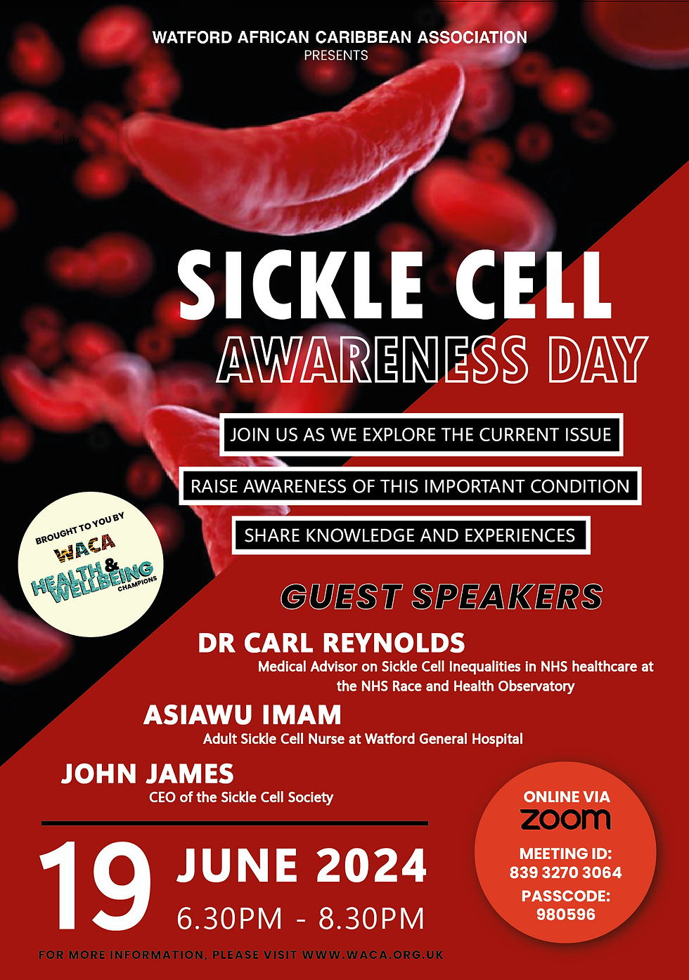 Sickle Cell Awareness Day