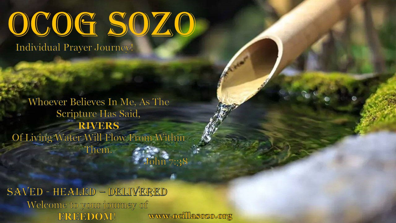 SOZO announcment website.jpg