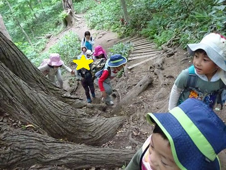 円山登山に行きました🏔