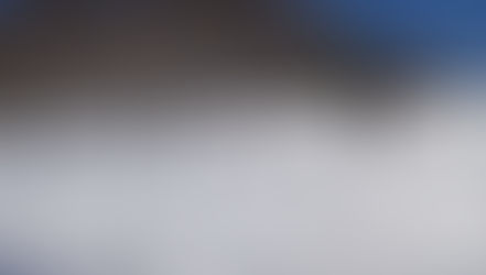 きりん組親子遠足