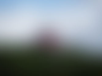 🪸小樽水族館🦀