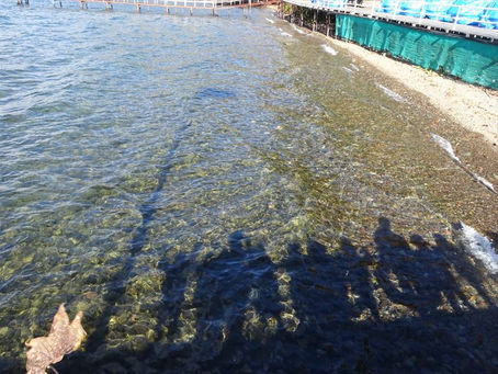 え!?海!?!?!?!?!?