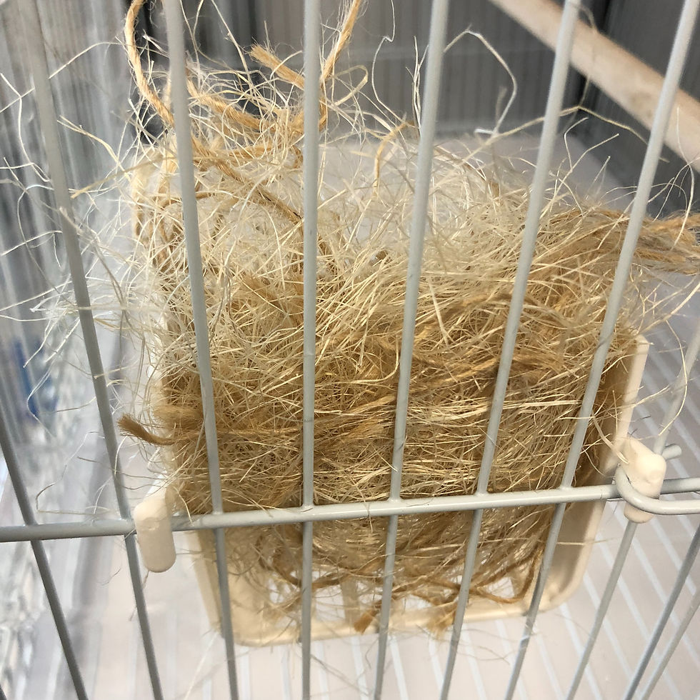 Thumbnail: Nesting Material Open Basket