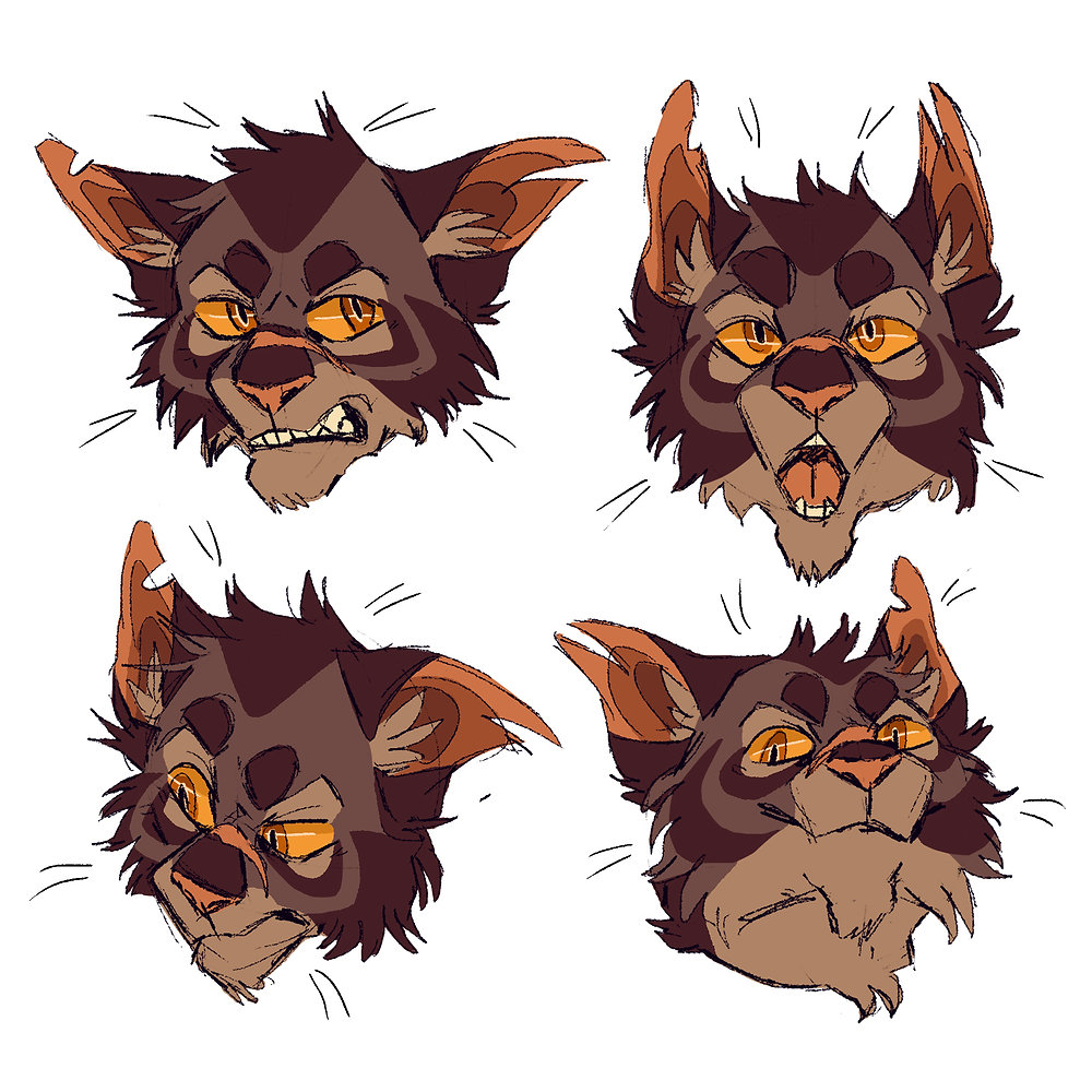 Expression Sheet