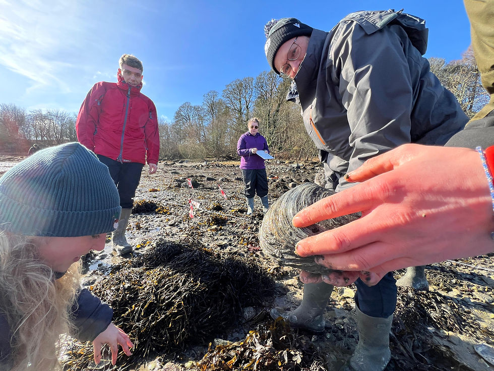 PHOTO-2025-03-06-11-17-51