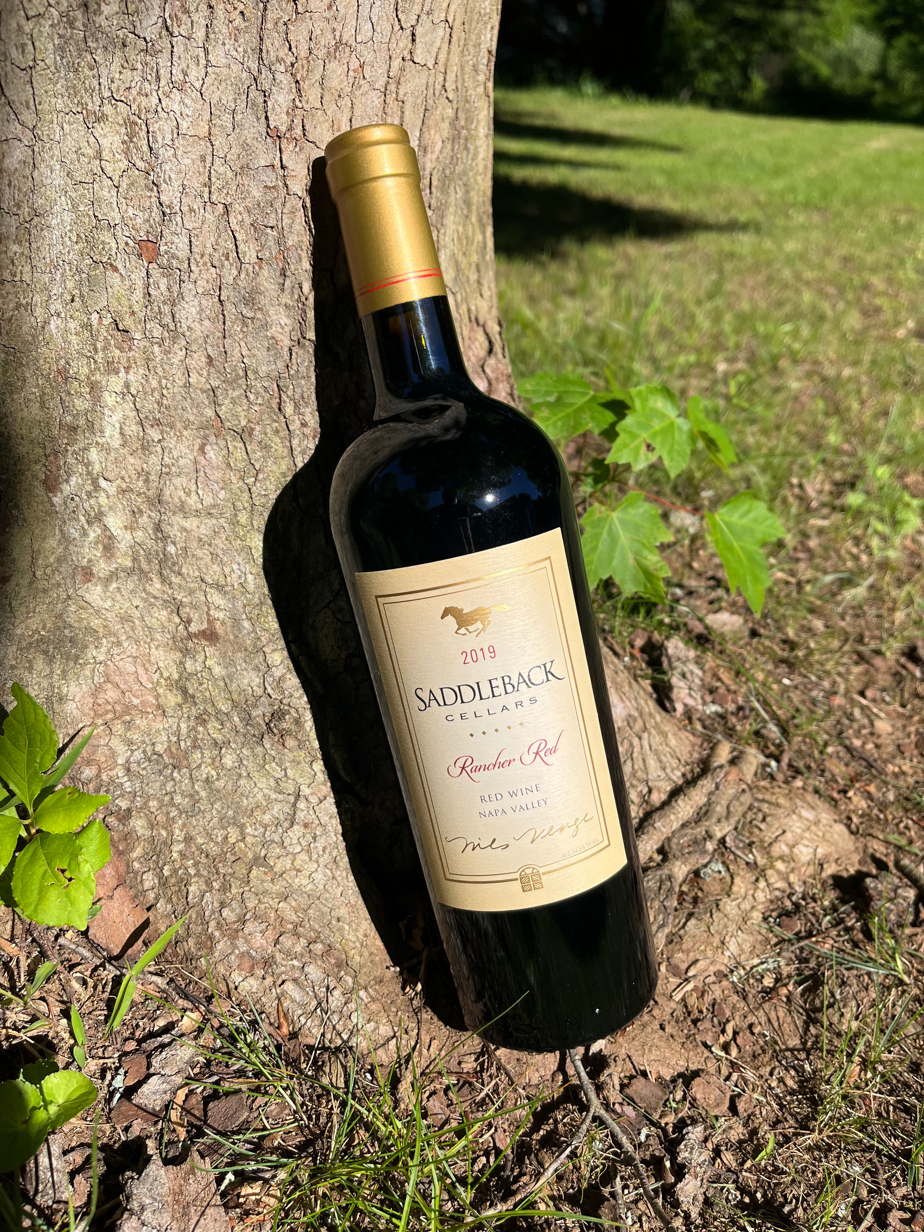 Saddleback Cellars Rancher Red