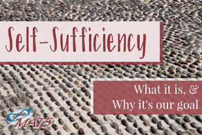 What is Self-Sufficiency?