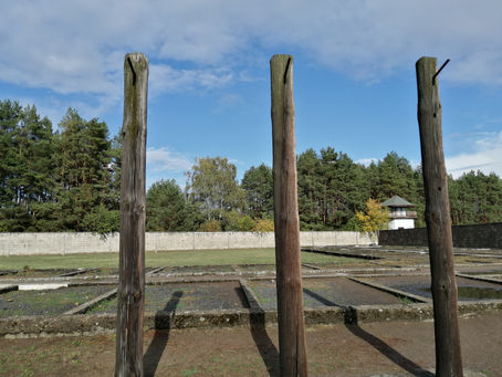 The Weirdest End to a Honeymoon