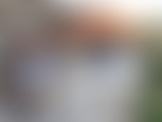 Summer Trips in the Age of COVID