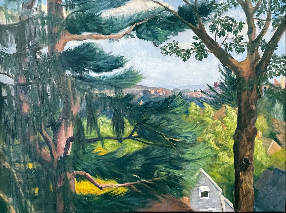 View from the Deck, Pine Ridge