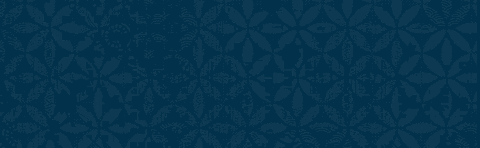 Navy Embossed Background.png