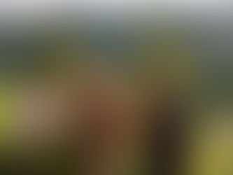 Beginning to Cultivate a Lifelong Work