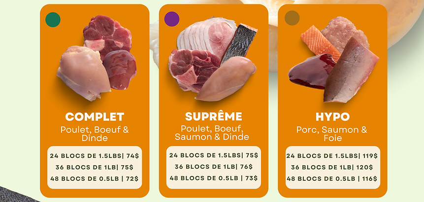 Copie de Affiche Landreville (3).png