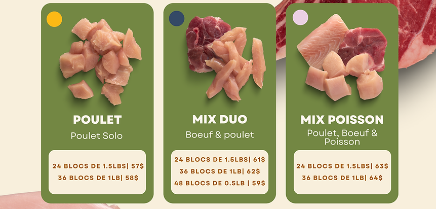 Affiche Landreville (3).png