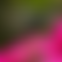 How appreciation can nurture our truth