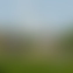 RDV au Jardin des Deux Rives - Capoeira en extérieur