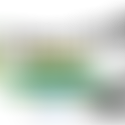 CapoeirApéro, tous les samedis soir durant le confinement et restrictions de déplacement.