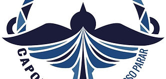 capoeira nao posso parar.jpg