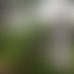 Les inscriptions pour nos cours à Strasbourg sont déjà ouvertes !