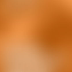 Démonstration de capoeira à Dachstein