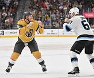 2026 NHL Playoffs - Fight.jpg