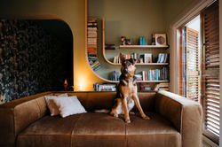 134401963_119298339951180_67750121126634