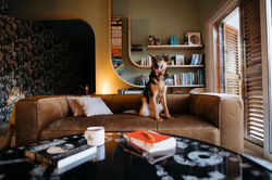 134567557_423699765449930_18986548190770