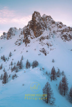 _AVE8215