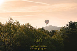 AVE_0260