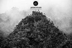 _AVE4738-2