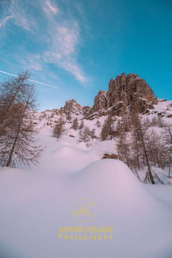 _AVE8220
