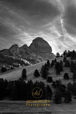 AVE_3673