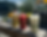 dockside-drinks.png