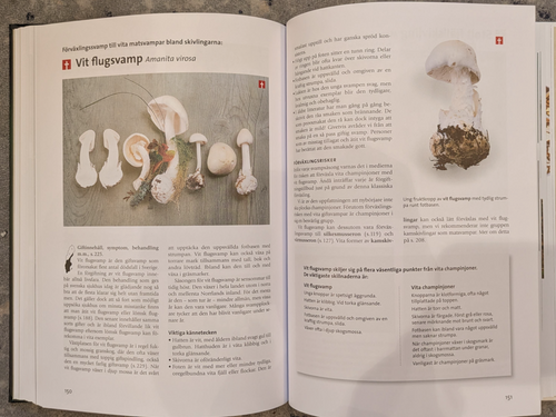 スウェーデンで見つけた「きのこ図鑑」の本 NYA SVAMP BOKEN | Sopo