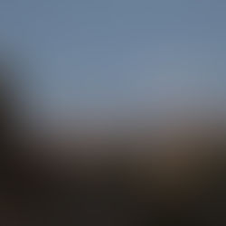 帰り道の散歩風景