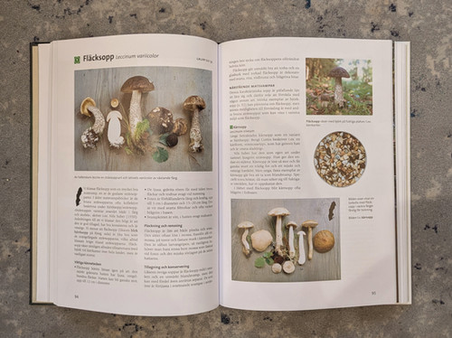 スウェーデンで見つけた「きのこ図鑑」の本 NYA SVAMP BOKEN | Sopo
