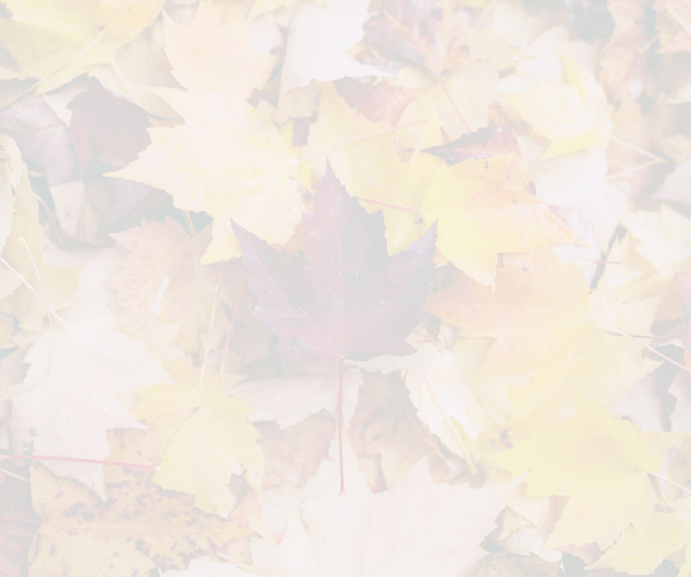dried maple leaves_edited_edited_edited.