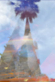 Sky Palm Print
