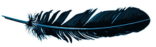 Feather-PNG-Pic-1.png